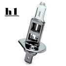H1 H1